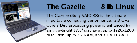 The Gazelle (Sony VAIO BX series) is the ultimate in portable computing performance.  2.3 GHz Pentium-M processing power is enhanced by an ultra-bright 17.0" display with up to 1920x1200 resolution and DVD+/-RW:DL.
