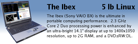 ultra-bright 14.1" display with 1400x1050 resolution and DVD+/-RW:DL.