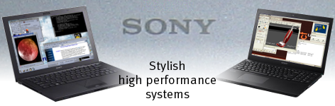 and the powerful Gazelle (Sony VAIO A170).